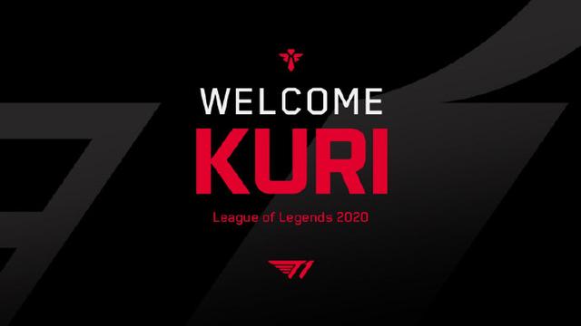 开了大门 开了大门