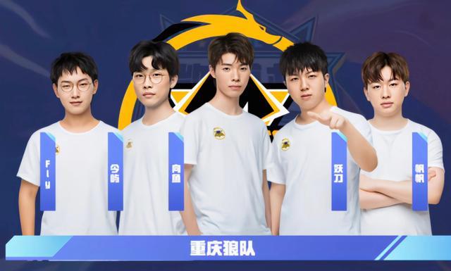 球员合同的 球员合同的