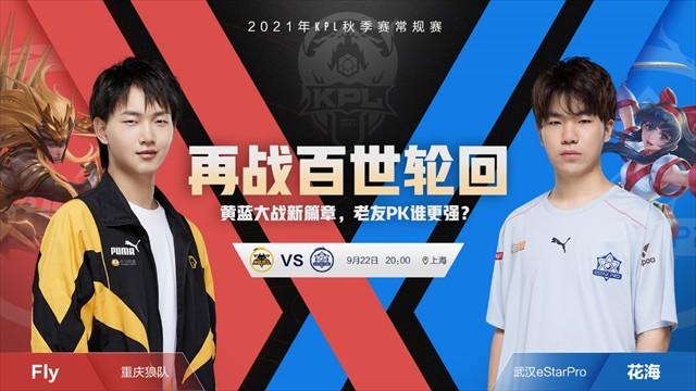 条款与报价 条款与报价